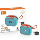 DV-1017 Portable Outdoor Bluetooth Speaker with TWS Connect, TF Card, USB, and Solar Panel